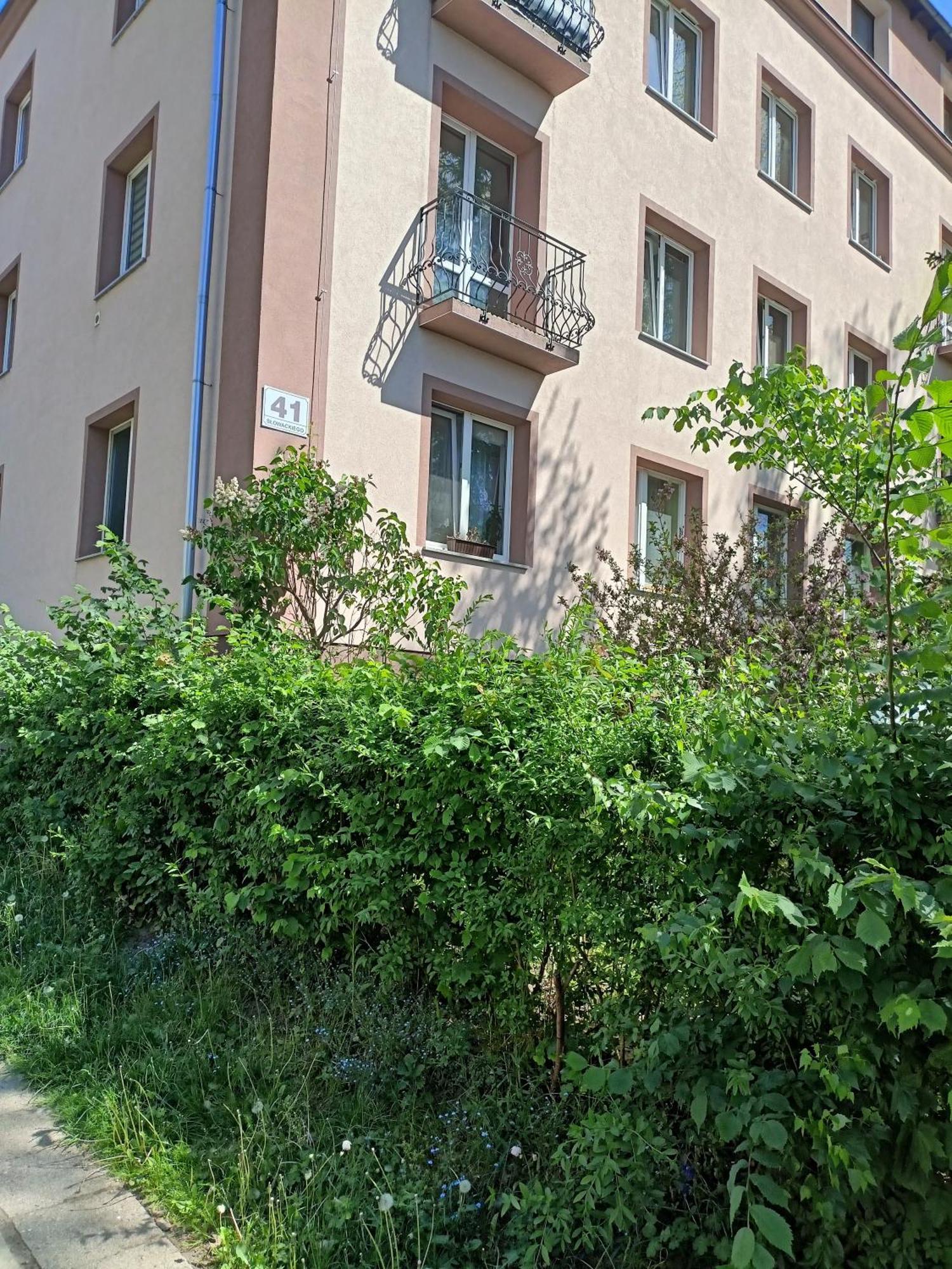 Apartament Slowackiego 41 Jelenia Gora Luaran gambar